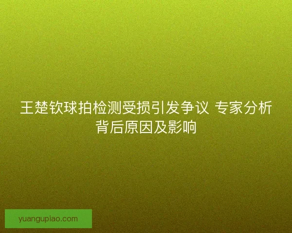 王楚钦球拍检测受损引发争议 专家分析背后原因及影响